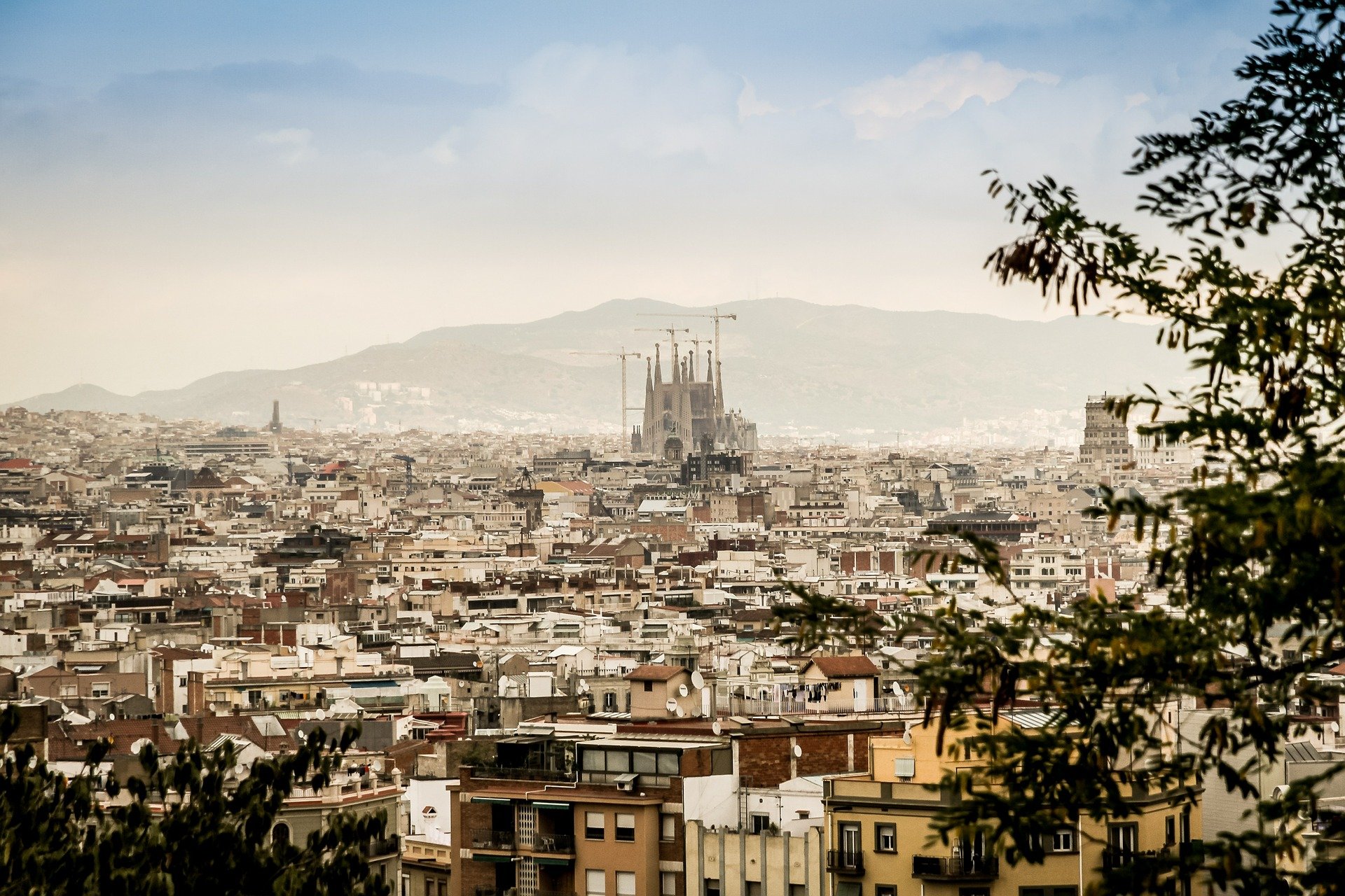 Barcelona Half-Day Panoramic Tour